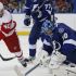 548281241JA015 Red Wings V Lightning