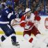 548281241JA024 Red Wings V Lightning