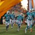 658063337JA054 Falcons Dolphins